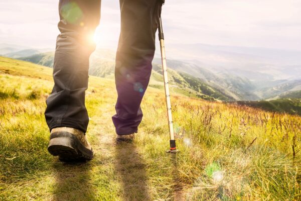 A person with a cane walking on top of a hill.