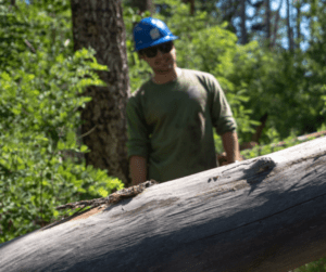 A man in a hard hat standing next to a log.